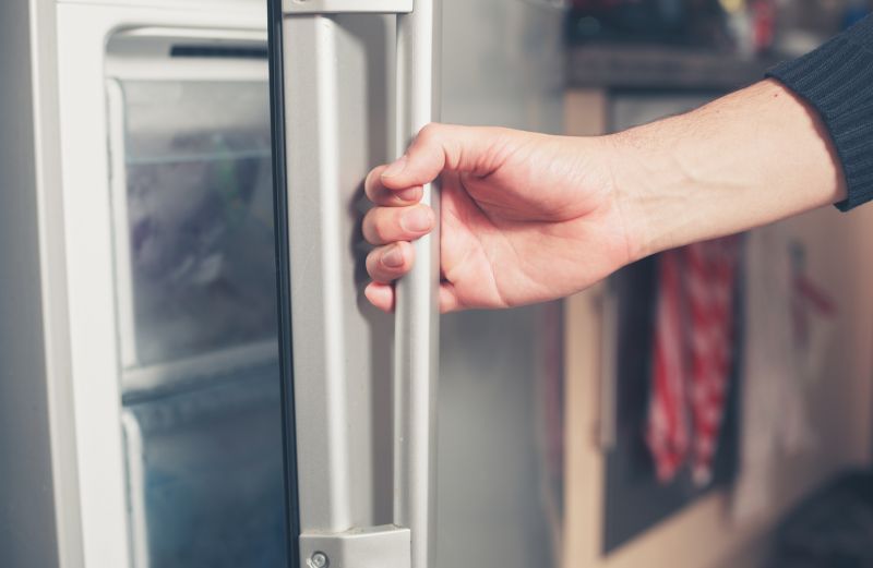Fridge Door Replacement