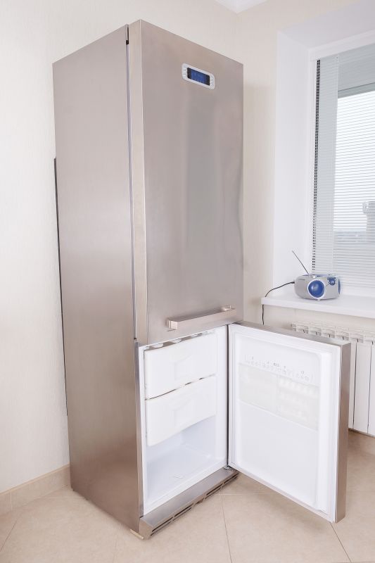 Modern Fridge Design